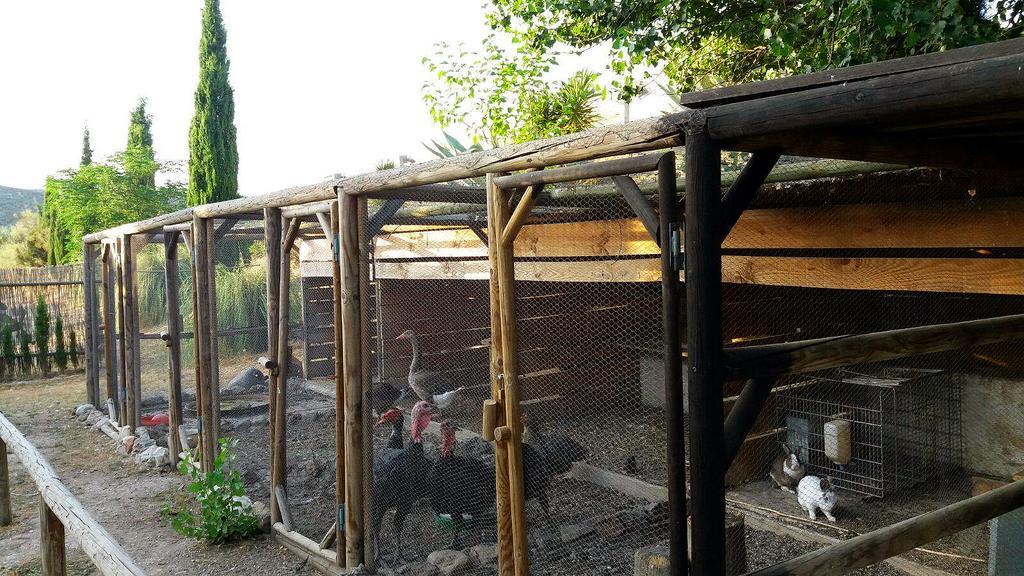 Posada Nina Margarita Priego de Córdoba Eksteriør bilde